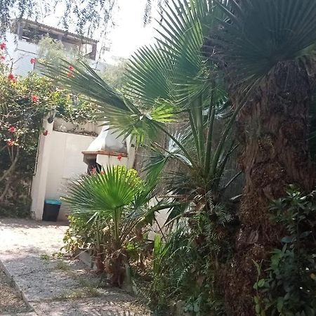 Apartamento - Jardin En Playa San Sebastian Sitges Bagian luar foto